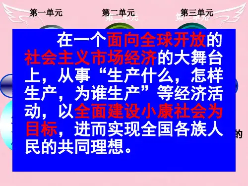 高中政治 第四单元 第九课 走进社会主义市场经济 复习课件 新人教必修1