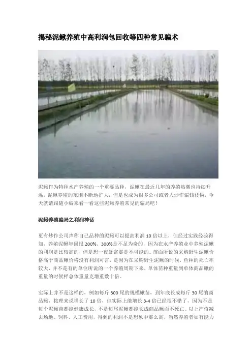 揭秘泥鳅养殖中高利润包回收等四种常见骗术