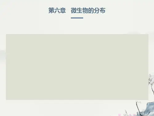 微生物的分布