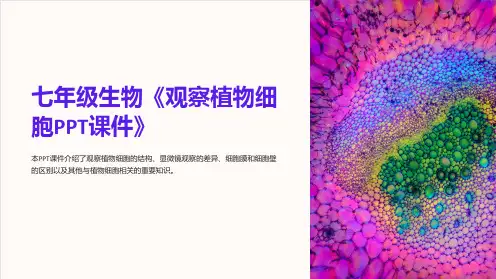 七年级生物《观察植物细胞课件》