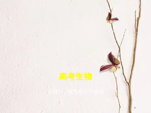 (新课标)2019版高考生物一轮复习 专题10 遗传的分子基础课件.pptx