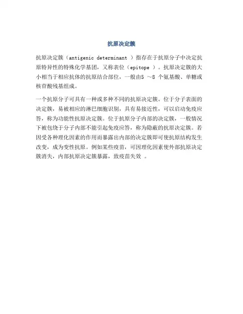 抗原决定簇