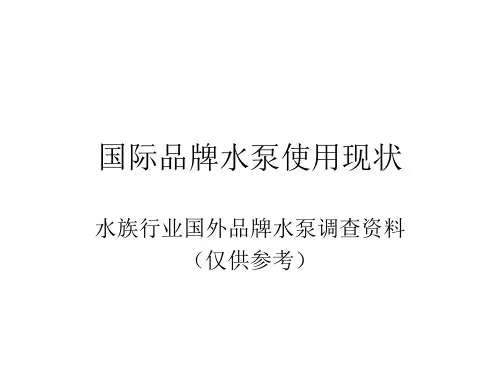 国际品牌水泵市场调查