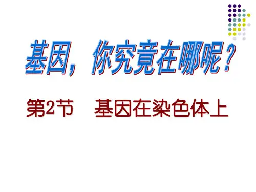 基因在染色体上公开课培训课件