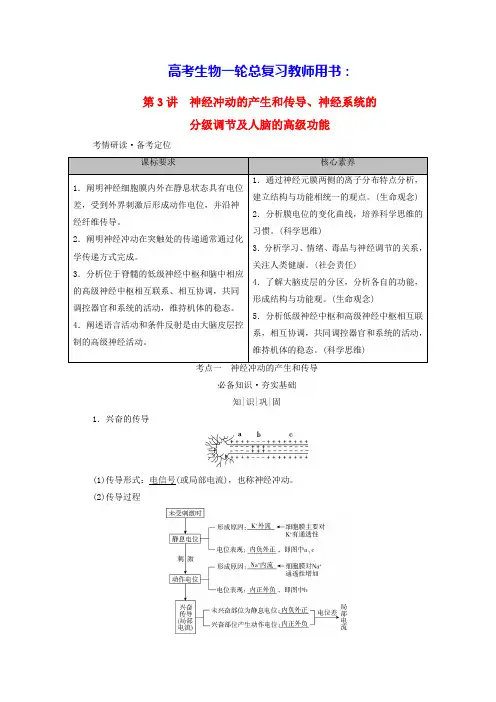 2025版高考生物一轮总复习教师用书选择性必修1考点一神经冲动的产生和传导(含答案)