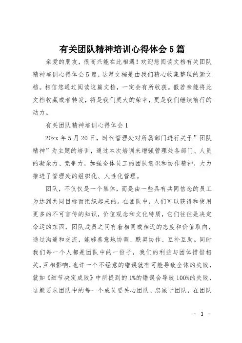 有关团队精神培训心得体会5篇