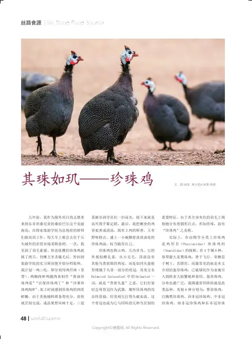 211153560_其珠如玑——珍珠鸡