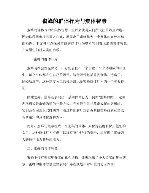 蜜蜂的群体行为与集体智慧