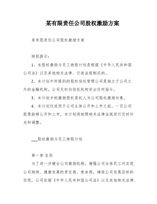 某有限责任公司股权激励方案