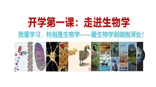 高中生物开学第一课+课件-2024-2025学年高一上学期生物人教版必修一
