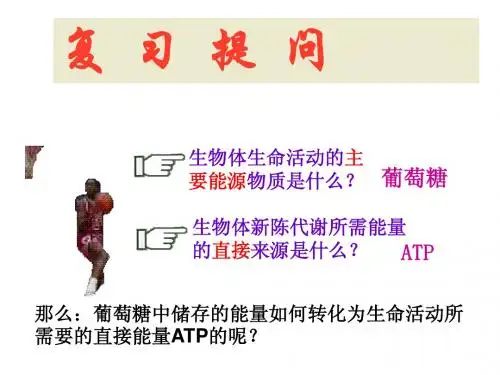 人教版教学课件必修1第五章第3节细胞呼吸