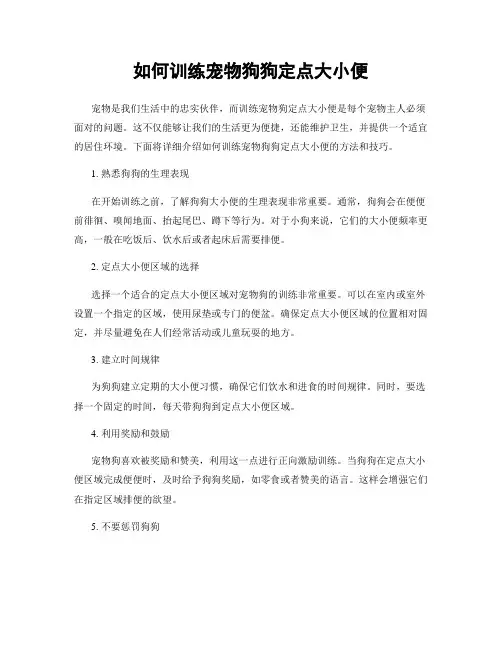 如何训练宠物狗狗定点大小便