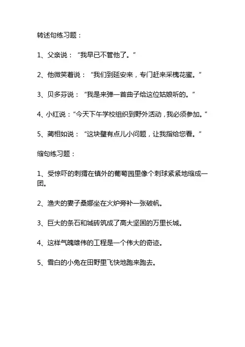 缩句+反问句+病句+转述句各五题(4)