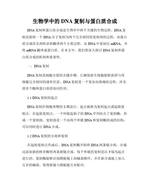 生物学中的DNA复制与蛋白质合成