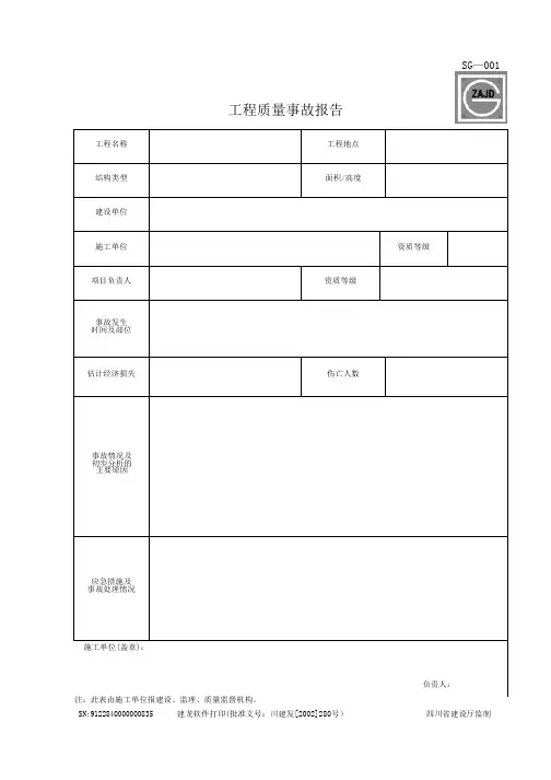 四川建龙资料表格(word)文档格式
