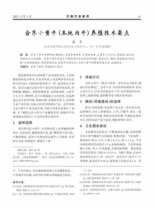 会东小黄牛(本地肉牛)养殖技术要点