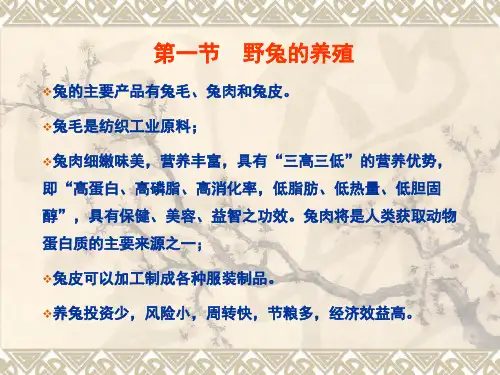 野兔的养殖技术