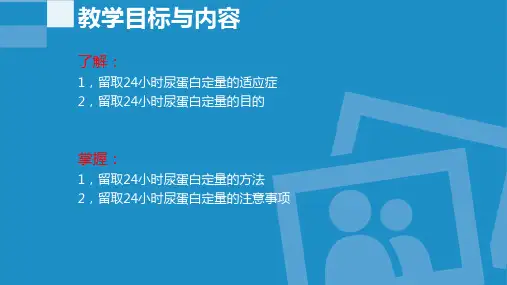 24小时尿蛋白定量