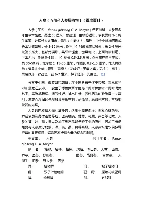 人参（五加科人参属植物）（百度百科）