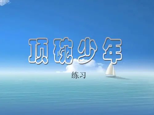 顶碗少年PPT教学课件