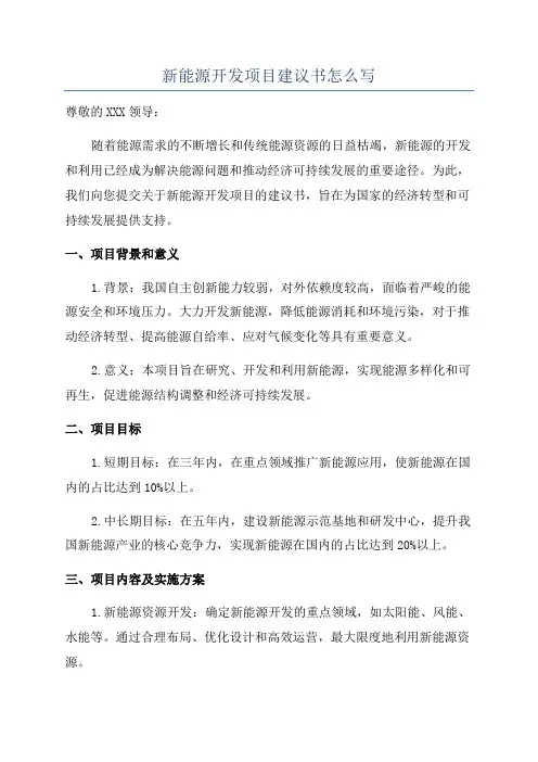 新能源开发项目建议书怎么写