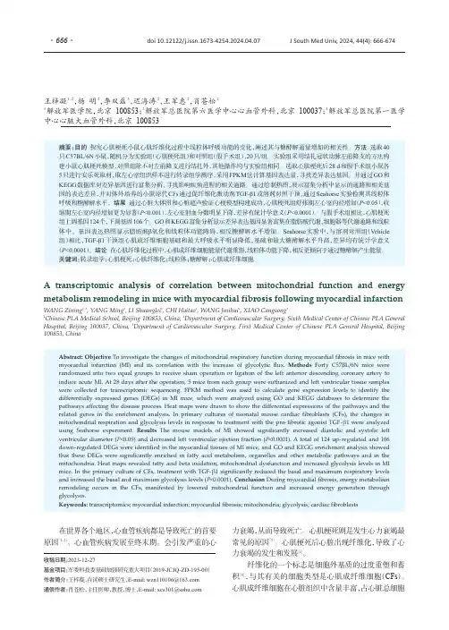 心肌梗死后心肌纤维化小鼠心肌线粒体功能和能量代谢重塑相关性的转录组学分析