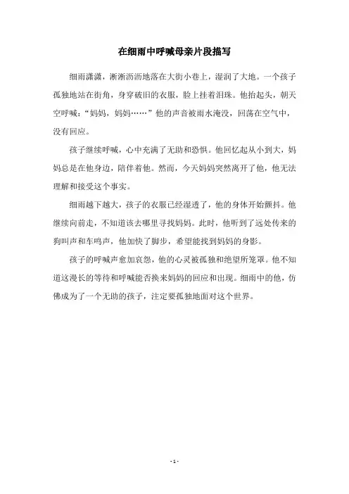 在细雨中呼喊母亲片段描写