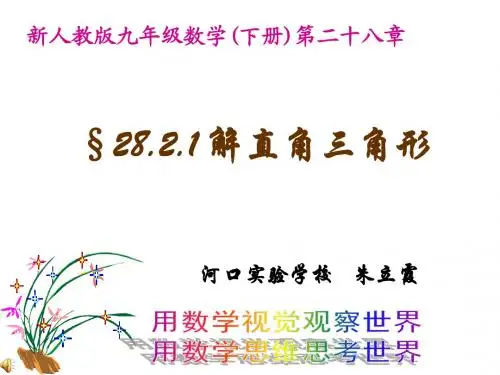 朱立霞解直角三角形3