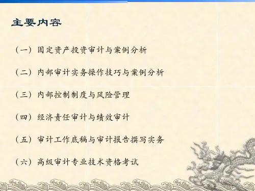 审计专业知识培训课程精品文档101页