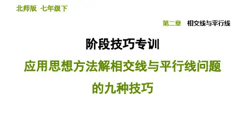 北师大七年级数学下册 第二章   应用思想方法解相交线与平行线问题的九种技巧