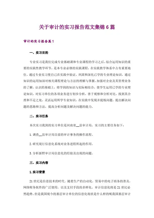 关于审计的实习报告范文集锦6篇