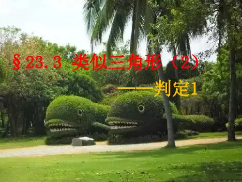 2相似三角形判定1-华东师大版九年级数学上册课件