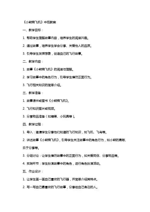 《小熊乘飞机》中班教案