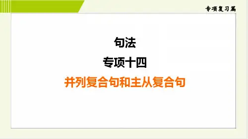 2024年中考英语总复习专项十四 并列复合句和主从复合句