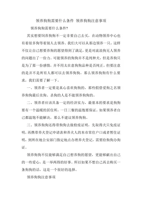 领养狗狗需要什么条件 领养狗狗注意事项