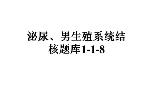 泌尿、男生殖系统结核题库1-1-8