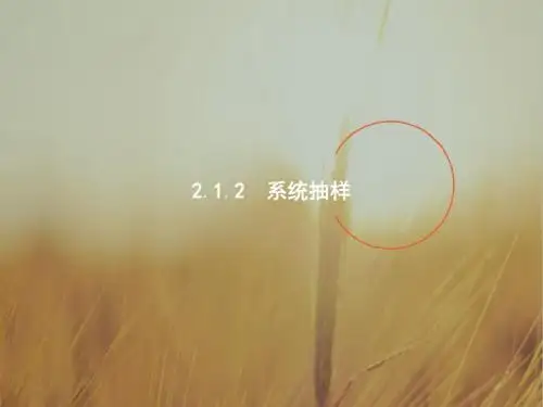 2017-2018学年高中数学人教A版必修3课件：2-1-2 系统