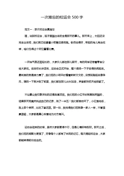 一次难忘的校运会500字