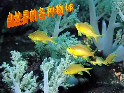 2.1生物和非生物