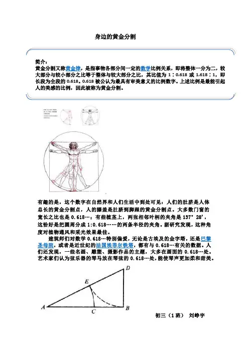 黄金分割简介