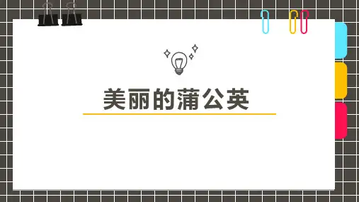 《美丽的蒲公英》少儿水粉美术PPT课件