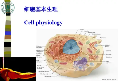 动物生理学第二章细胞基本生理