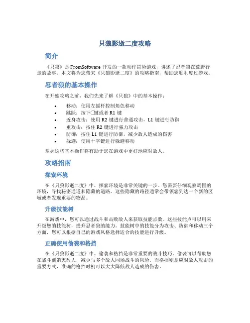 只狼影逝二度攻略