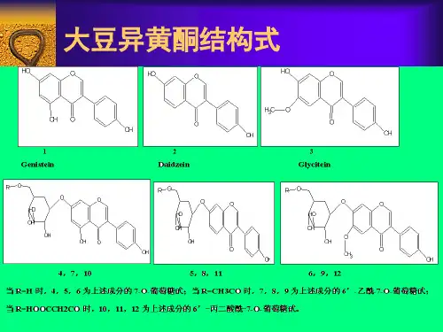 大豆异黄酮项目简介课堂PPT