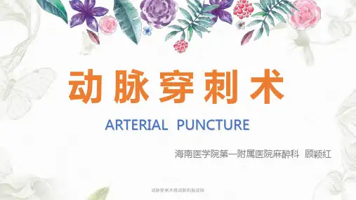 动脉穿刺术桡动脉和股动脉PPT课件