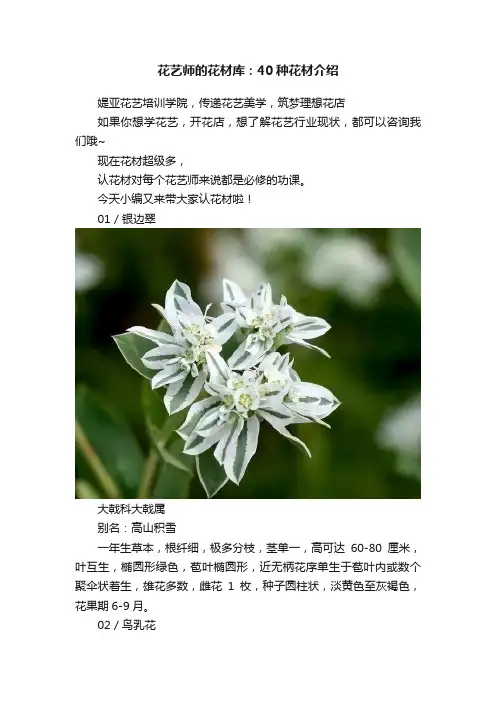 花艺师的花材库：40种花材介绍
