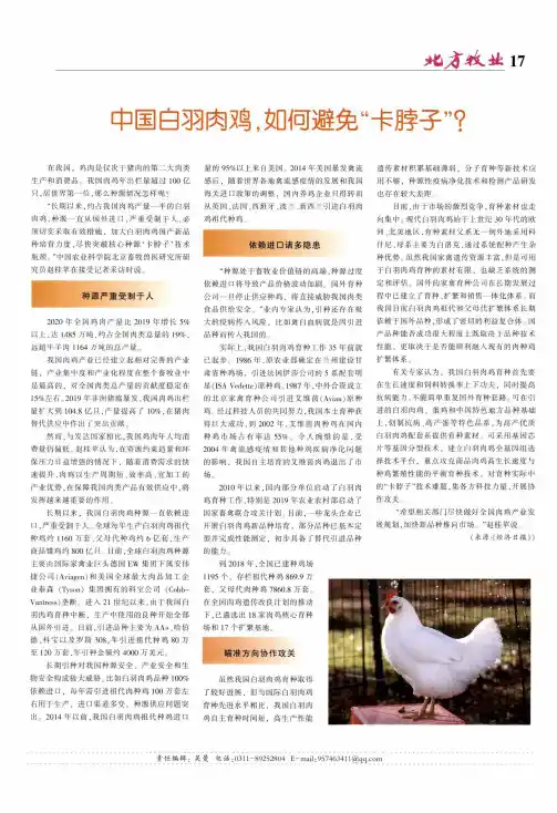 中国白羽肉鸡,如何避免“卡脖子”