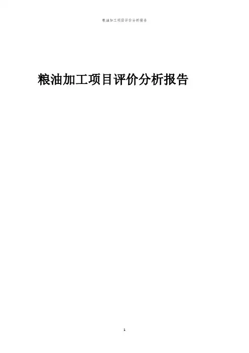 粮油加工项目评价分析报告