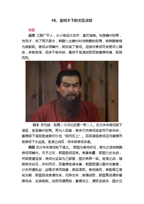 45、袁绍手下的文臣武将