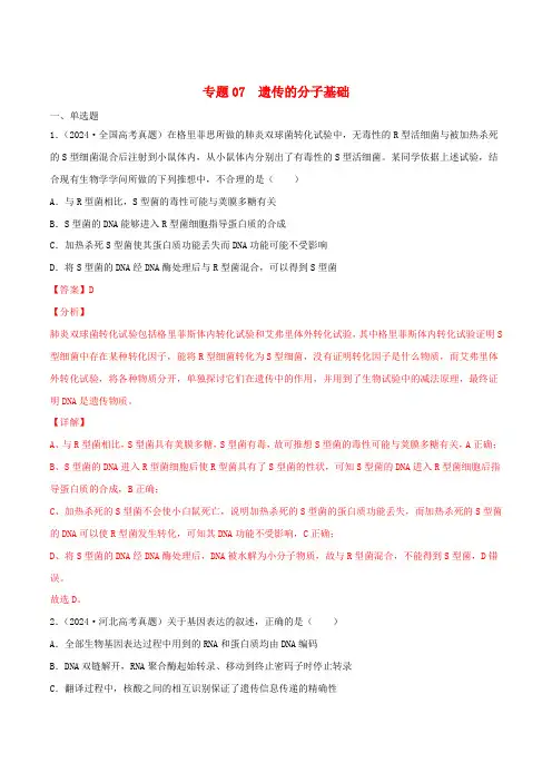 2024年高考生物三年高考真题及模拟题分类汇编专题07遗传的分子基础含解析